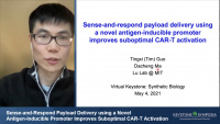 Short Talk: Sense-and-Respond Payload Delivery using a Novel Antigen-Inducible Promoter Improves Suboptimal CAR-T Activation icon