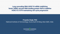 Long noncoding RNA HOXC10 mRNA stabilizing factor (HMS) recruits RNA binding protein HuR to stabilize HOXC10 3’UTR maintaining cell cycle progression icon