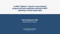 LncRNA “Bigheart” controls a transcriptional program that auto-amplificate calcineurin-NFAT signalling in cardiac hypertrophy icon