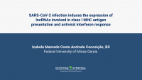 SARS-CoV-2 infection induces the expression of lncRNAs involved in class I MHC antigen presentation and antiviral interferon response icon