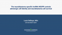 The neuroblastoma-specific lncRNA NESPR controls adrenergic cell identity and neuroblastoma cell survival icon