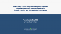 MIR205HG/LEADR long noncoding RNA binds to primed enhancers in prostate basal cells, through a triplex and Alu-mediated mechanism icon