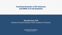 Functional dissection of IGH enhancers and eRNAs in B-cell lymphoma icon