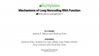 Mechanisms of Long Noncoding RNA Function icon