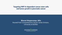 Targeting HNF1A-dependent stemness and tumor growth in pancreatic cancer icon