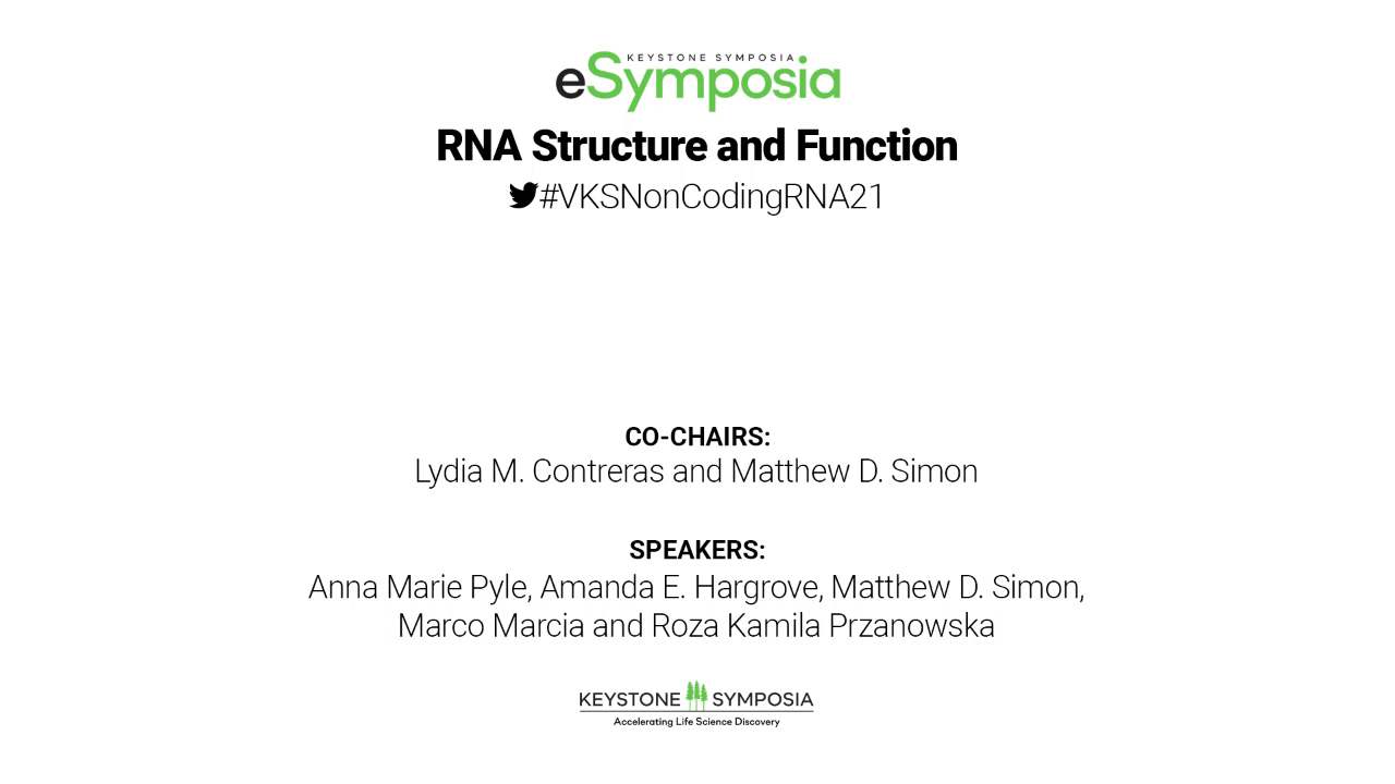 RNA Structure and Function