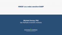 HMGB1 as a redox sensitive DAMP icon
