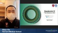 Short Talk: S1, F2: Models of Gasdermin D Pore Formation and Interleukin-1 Release icon