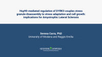 Hsp90-mediated regulation of DYRK3 couples stress granule disassembly to stress adaptation and cell growth: implications for Amyotrophic Lateral Sclerosis. icon