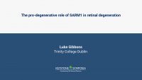 The pro-degenerative role of SARM1 in retinal degeneration icon