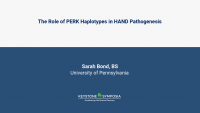 The Role of PERK Haplotypes in HAND Pathogenesis icon