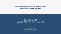 Establishing gene regulatory networks from Parkinson’s disease risk loci icon
