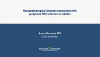 Neuropathological changes associated with peripheral EBV infection in rabbits icon
