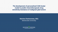 The development of a personalized CAM Avatar model to predict chemotherapeutic drug sensitivity/resistance of malignant glial tumors. icon