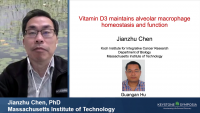 Short Talk: Vitamin D3-Vitamin D Receptor Axis Suppresses Pulmonary Emphysema by Maintaining Alveolar Macrophage Homeostasis and Function icon
