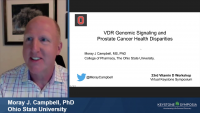 VDR Genomic Signaling and Prostate Cancer Health Disparities icon
