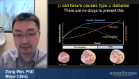 Short Talk: Vitamin D Receptor and Chromatin Remodeling Complexes in Regulating Pancreatic Beta Cell Function icon