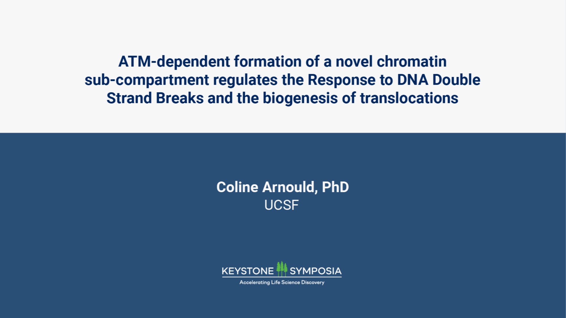 ATM-dependent formation of a novel chromatin sub-compartment regulates the Response to DNA Double Strand Breaks and the biogenesis of translocations icon