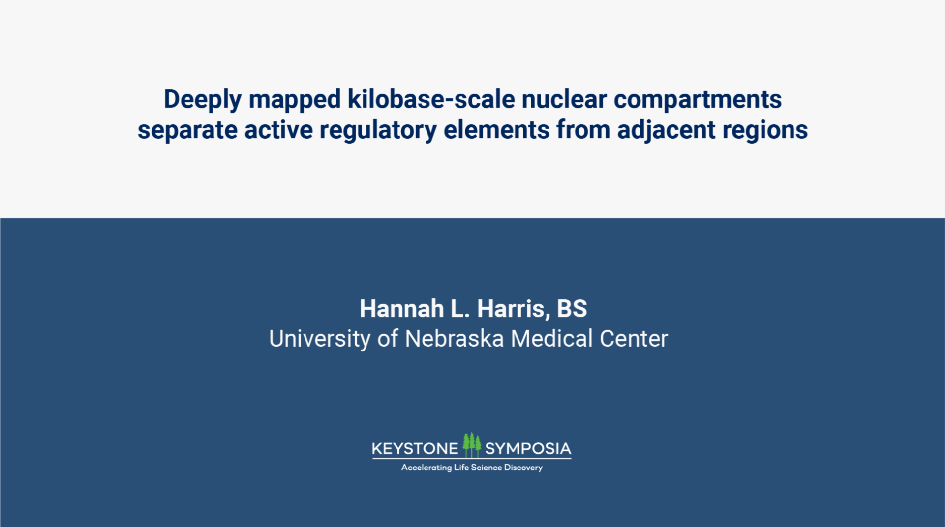 Deeply mapped kilobase-scale nuclear compartments separate active regulatory elements from adjacent regions icon