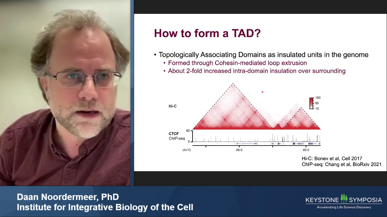 short-talk-a-complex-ctcf-binding-code-defines-tad-boundary-structure