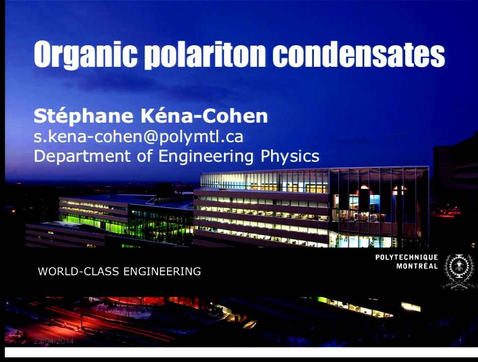 Polariton Interactions In An Organic Polariton Condensate