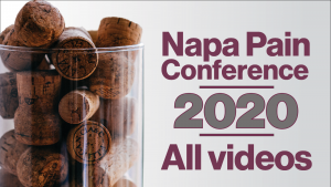 27th Napa Pain Conference - Archives