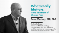 What Really Matters in the Treatment of Chronic Pain