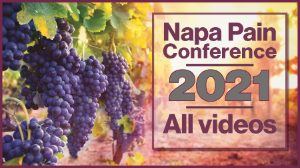 28th Napa Pain Conference - Archives