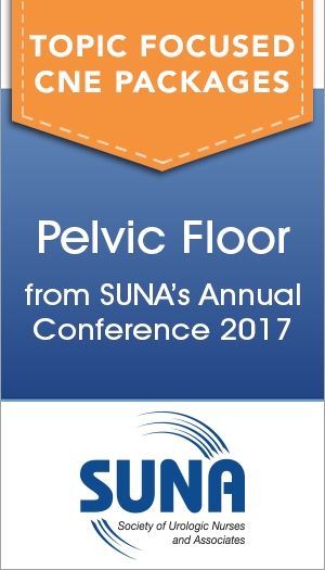 Pelvic Floor - Annual Conference 2017