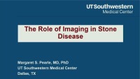 Role of Imaging in Stone Disease 