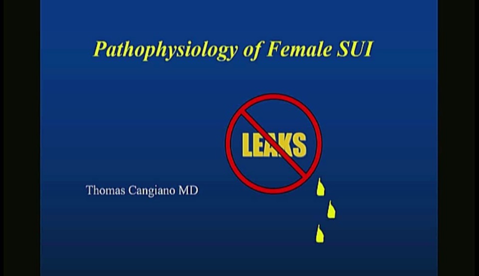 Treatment of SUI in the Male and Female, Both Non-Surgical and Surgical Approaches