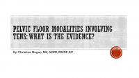 Pelvic Floor Modalities Involving TENS: What's The Evidence? icon