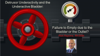Detrusor Underactivity and the Underactive Bladder: Failure to Empty Due to the Outlet or the Bladder?