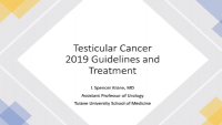 Testicular Cancer - Diagnosis and Treatment - 2019 Guidelines