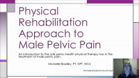 Physical Rehabilitation Approach to Male Pelvic Pain
