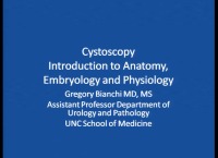 Cystoscopy Workshop