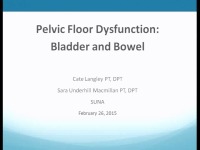 Pelvic Floor Anatomy and Musculoskeletal Dysfunction icon