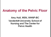 Sex, Skin, Bulges, and the Drugs and Devices to Improve Pelvic Floor Function icon
