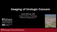 Recent Advances in Imaging Urologic Oncology
