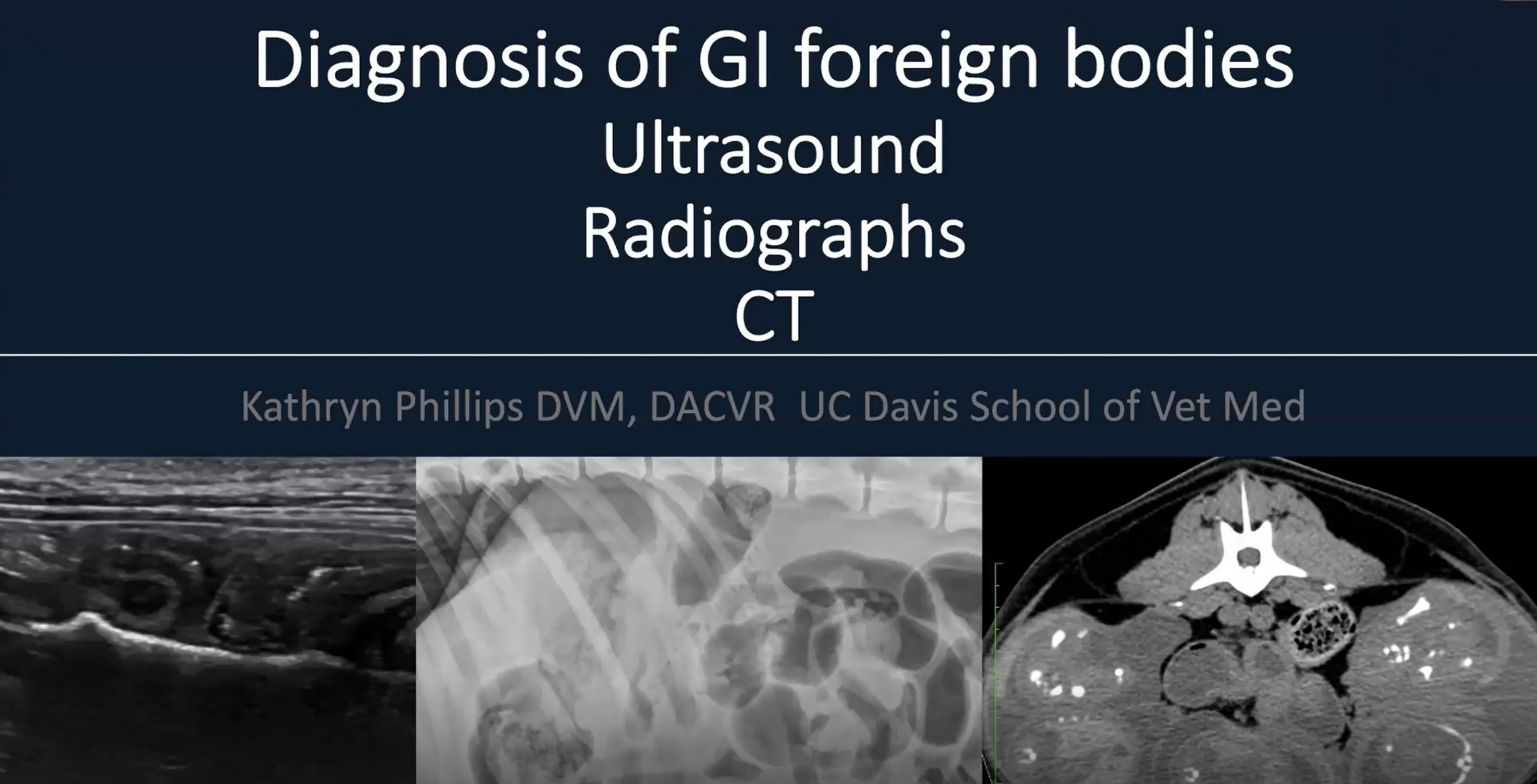 Diagnosis of GI Foreign Bodies: Ultrasound vs Radiographs vs CT icon