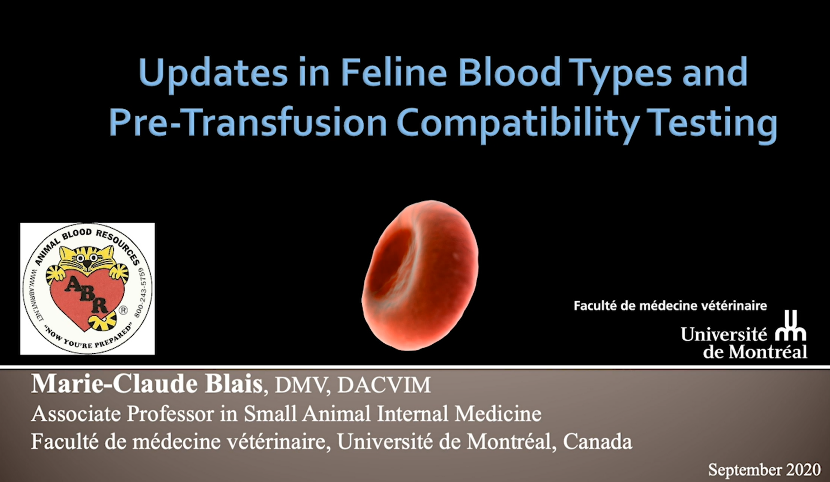 Updates in FELINE Blood Types and Pre-Transfusion Compatibility Testing icon