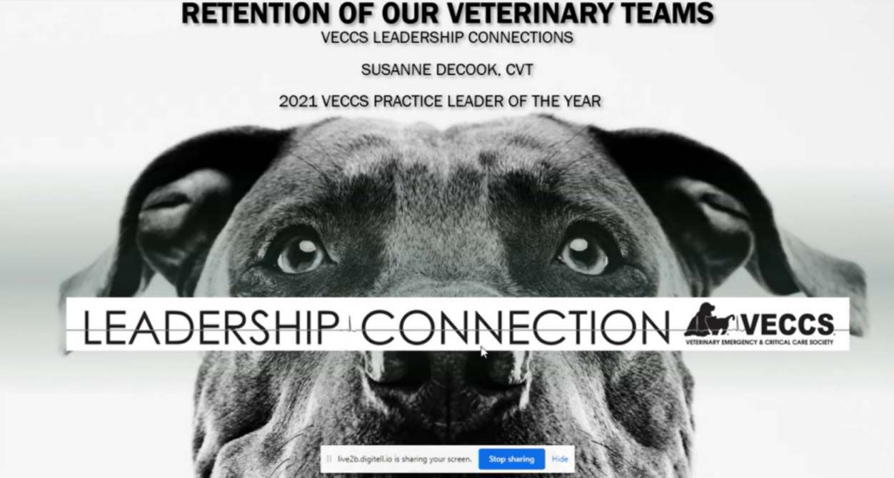 Retention of our Veterinary Teams icon