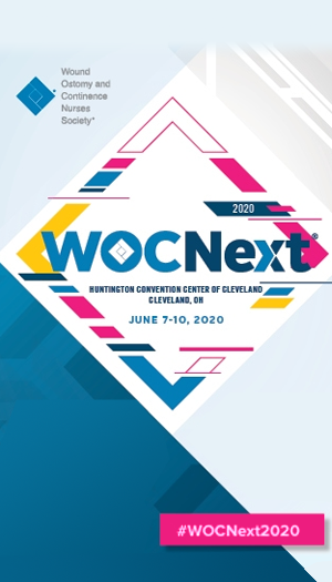 WOCNext 2020 Reimagined icon