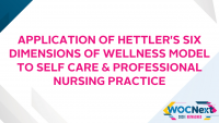 Application of Hettler's Six Dimensions of Wellness Model to Self Care & Professional Nursing Practice icon