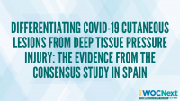 Differentiating COVID-19 Cutaneous Lesions from Deep Tissue Pressure Injury: The Evidence from the Consensus Study in Spain icon