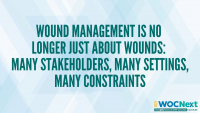Wound Management is No Longer Just About Wounds: Many Stakeholders, Many Settings, Many Constraints