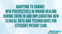 Adapting to Change: New Perspectives in Wound Healing During COVID-19 and Implementing New Clinical Data and Technologies for Efficient Patient Care