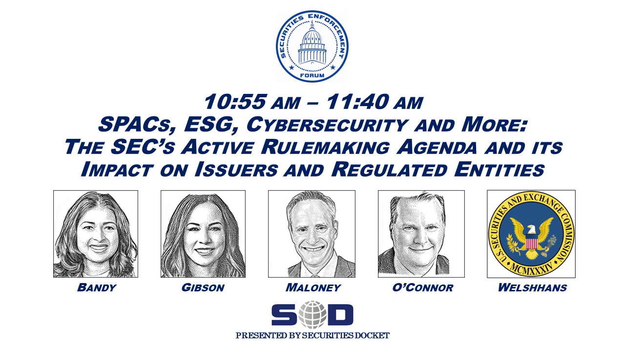SPACs, ESG, Cybersecurity and More: The SEC’s Active Rulemaking Agenda and its Impact on Issuers and Regulated Entities icon