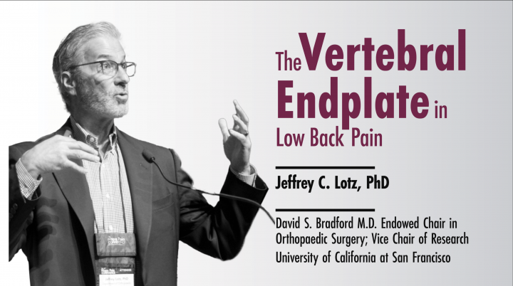 The Vertebral End Plate in Low Back Pain