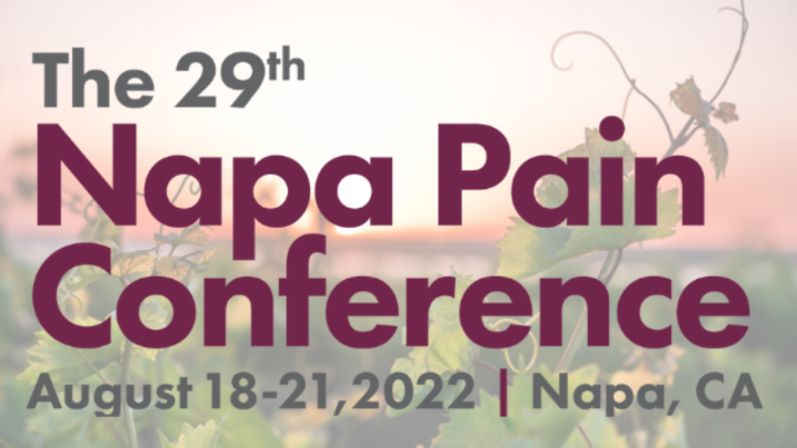29th Napa Pain Conference Sessions icon